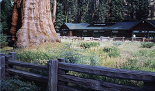USA-California-Yosemite Sierra Multi-Sport